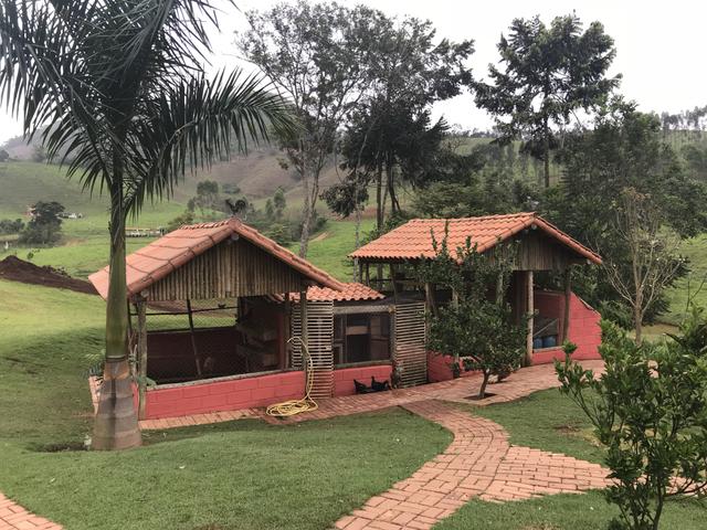 Aluga-se hospedar sítio Granja mirante do vale - próximo a benfica Juiz de Fora - Foto 8