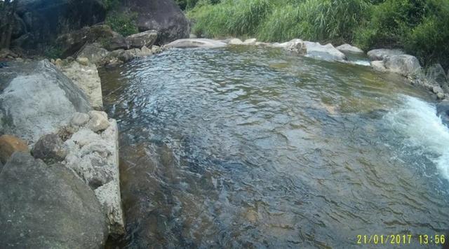 Sitio em Conceição de Macabu - Foto 6
