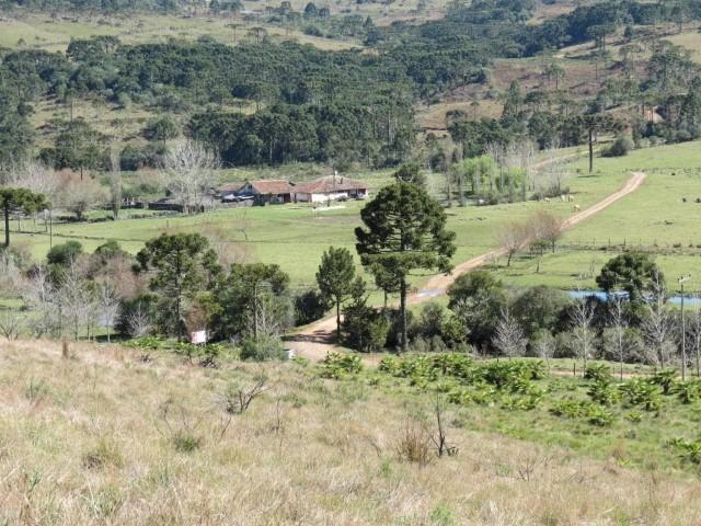 Fazenda em Urubici / chácara área rural - Foto 13