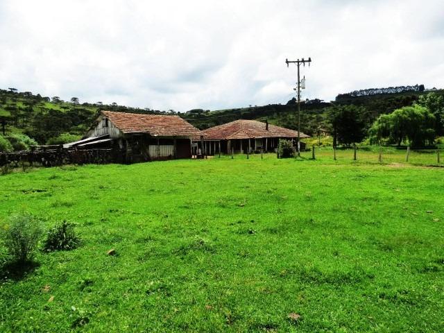 Fazenda em Urubici / chácara área rural - Foto 12