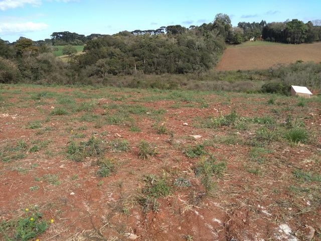 Ref. 2310-2 Excelente para uso Urbano, Rural ou Industrial á 300 mts da Rod. do Xisto - Foto 3