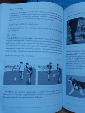 Meu Cão, meu amigo - Foto 4