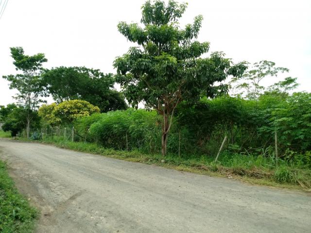 572 - Chácara no Residencial Porto Seguro - Chácaras Rio Doce. - Foto 8