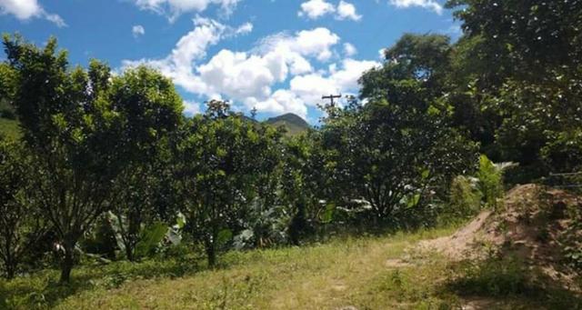 Sitio em Conceição de Macabu - Foto 3
