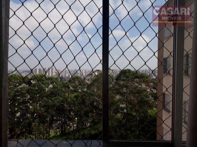 Apartamento com 2 dormitórios à venda, 55 m² - jardim irajá - são bernardo do campo/sp - Foto 8
