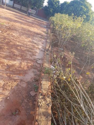 Terreno 10x20 Plano Já Quitado - Foto 6