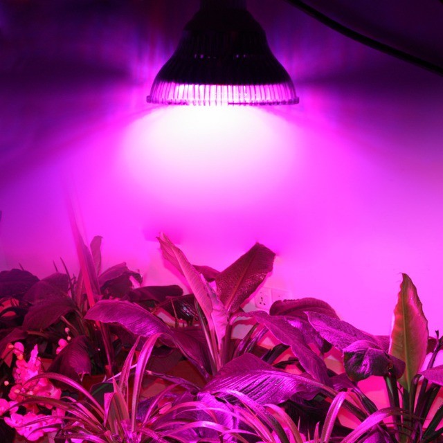 Lâmpada Led Grow Espectro Crescimento Plantas - Foto 6