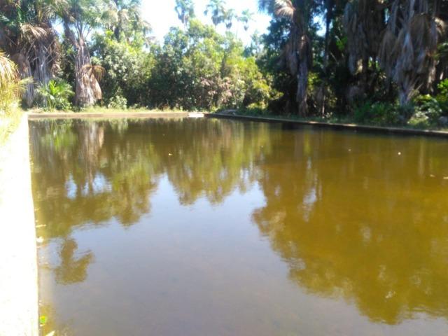 Sitio de 20 hectares, rico em água ótima casa sede e apenas 20 km de Teresina - Foto 16