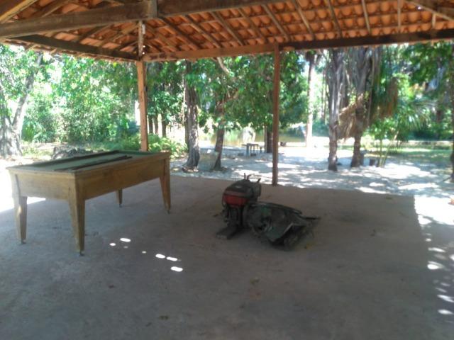 Sitio de 20 hectares, rico em água ótima casa sede e apenas 20 km de Teresina - Foto 6