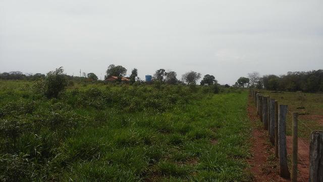 Terenos, MS linda chácara - até para morar - Foto 4