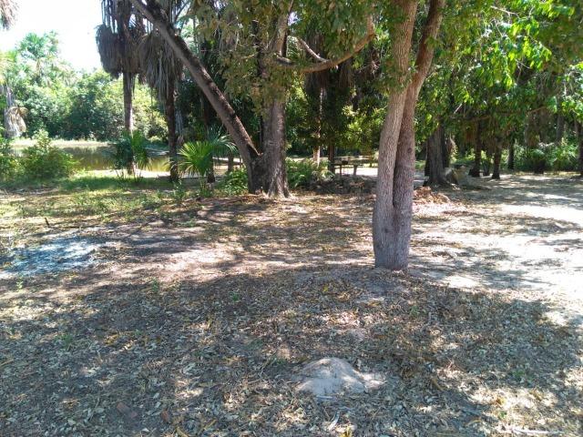 Sitio de 20 hectares, rico em água ótima casa sede e apenas 20 km de Teresina - Foto 12