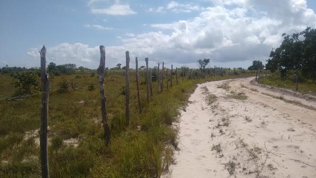 Sítio Praia Rio em Terreno - Foto 4