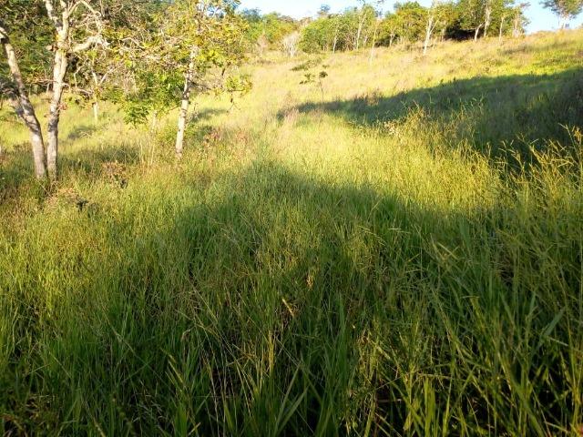 Fazenda em Ubaira-BA - Foto 12