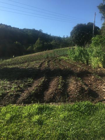 Chácara - Foto 4