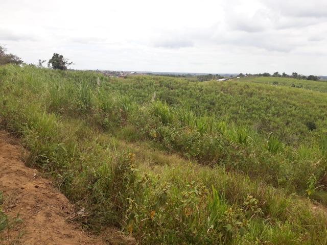 Escada=Vend. 7 mil por Hect=140 Hect=Todos plantado em Cana de Açúcar, só vendemos tudo - Foto 10