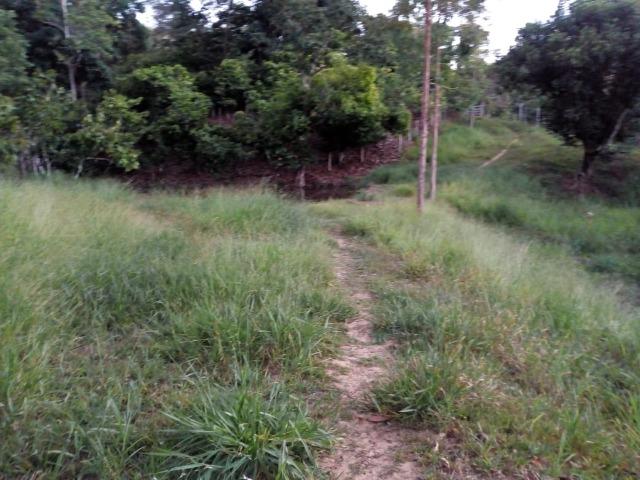 Fazenda em Ubaira-BA - Foto 3