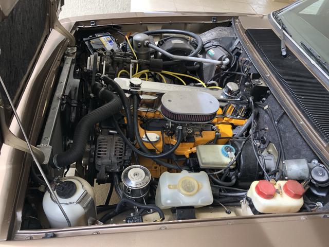 Opala Diplomata e Monza SLE Placa preta - Foto 11