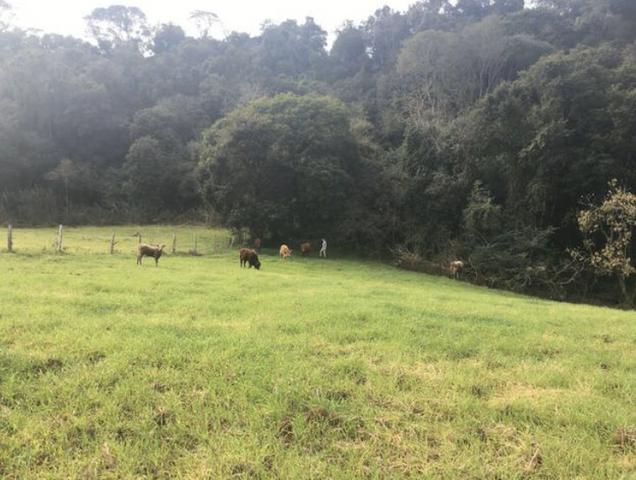 Chácara e casa nova - barbada - top - Foto 3