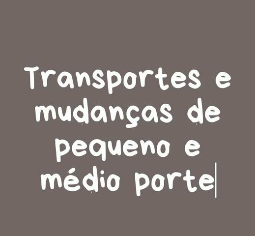 TuTransportes Araújo