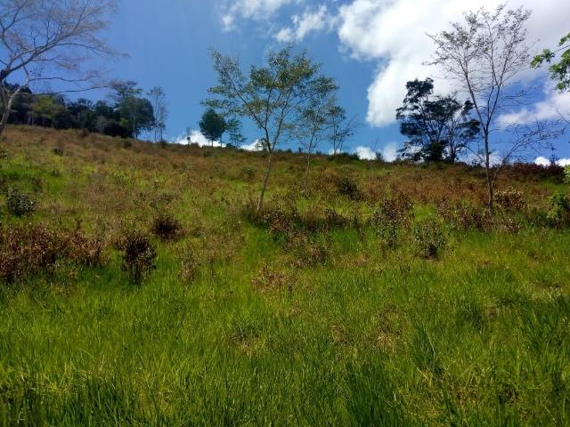 Fazenda em Ubaira-BA - Foto 8