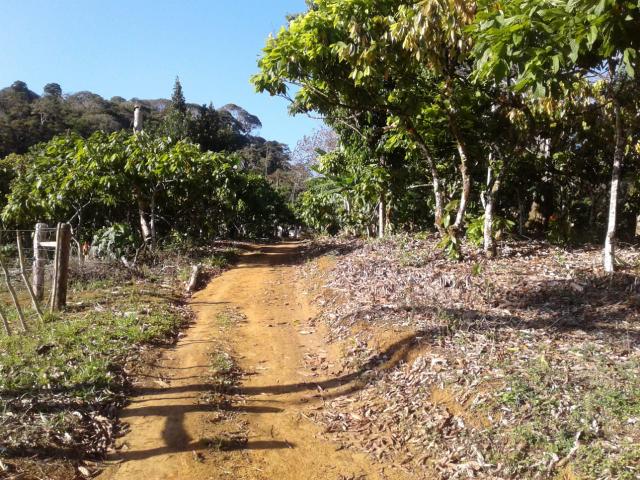 Fazenda com trator em Taperoá - Bahia - Foto 6
