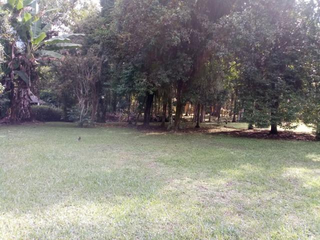 Terrenos - Porto de Cima - Morretes - Foto 9