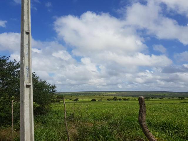 5000 hectares ideal para Plantação com Escritura pública - Foto 2