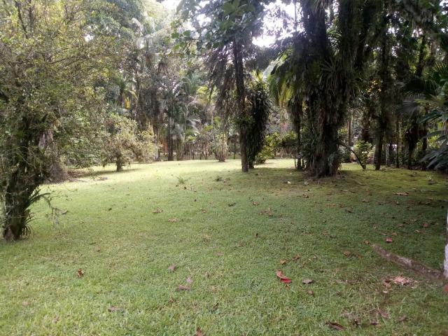 Terrenos - Porto de Cima - Morretes - Foto 16