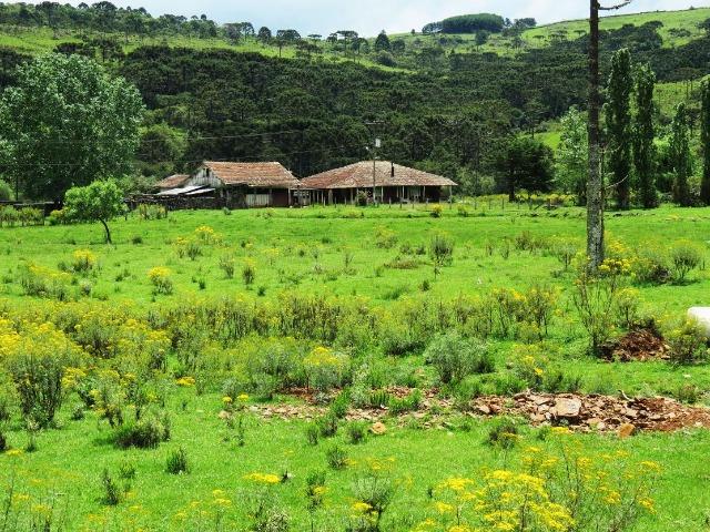 Fazenda em Urubici / chácara área rural - Foto 11