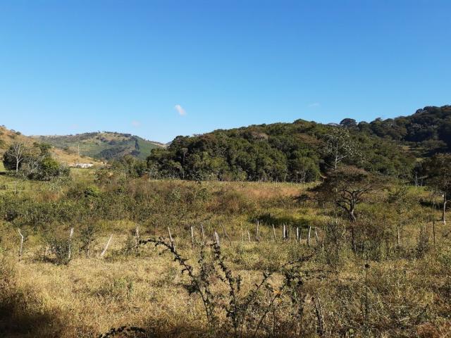 676 - Área de terra no Bugre de 29 hectares - Foto 12