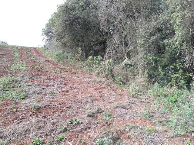Ref. 2310-2 Excelente para uso Urbano, Rural ou Industrial á 300 mts da Rod. do Xisto - Foto 10
