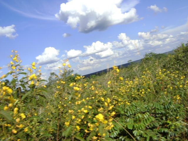 480 Alq.Tangará x Paraná, cerrado Tangará-MT - Foto 3