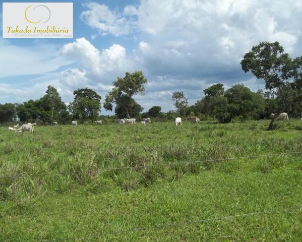 Sítio à venda em Zona rural, São joão d'aliança cod:FA00003 - Foto 3