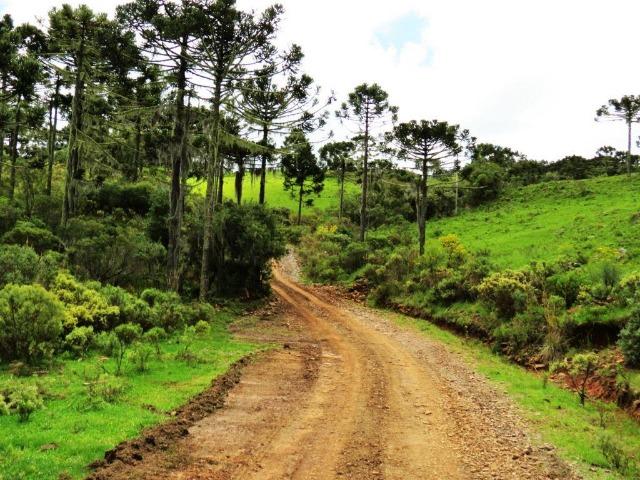 Fazenda em Urubici / chácara área rural - Foto 5