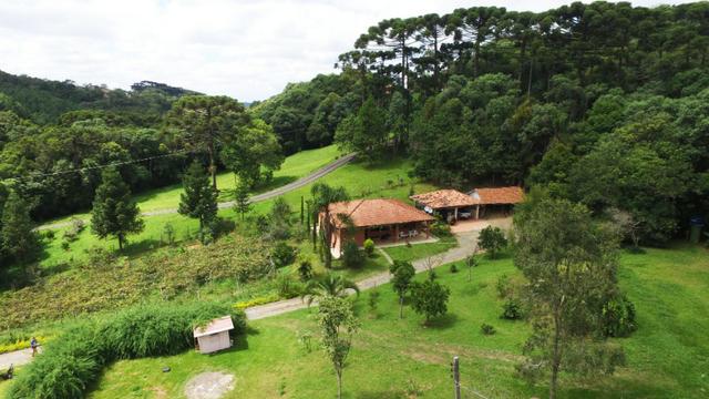 Chácara em Campo Largo Divisa com Curitiba (Oportunidade) - Foto 5