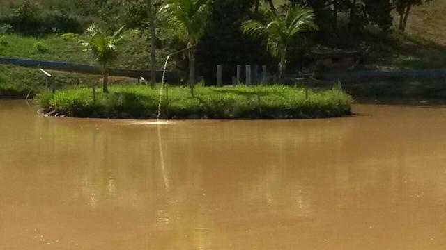 Fazenda 2.686 hectares em ARINOS MG - Foto 14