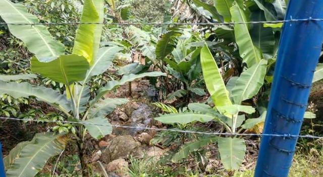 Sitio em Conceição de Macabu - Foto 11