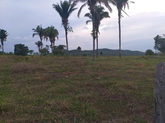 Fazenda com 2 nascentes 8 pasto 5 represas.a 28 km de caldas novas.Go