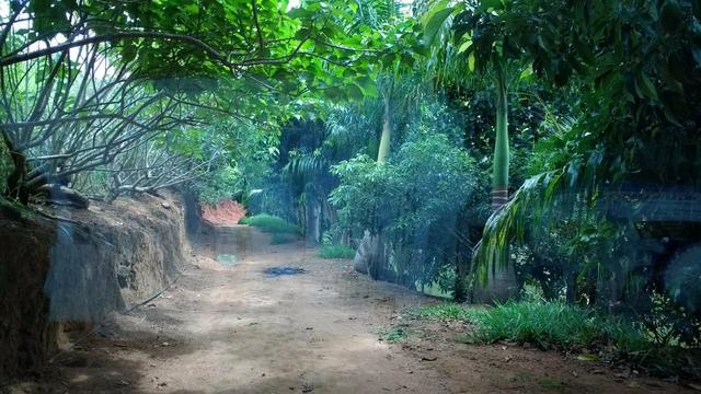 Fazenda Santa Teresa , Somente Avista ou Parcelado!! - Foto 6