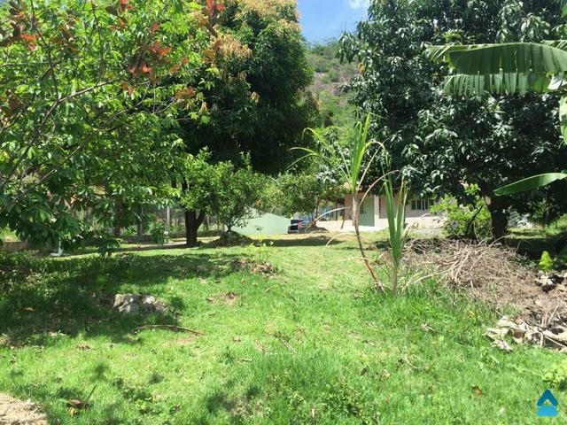 Chácara à venda em São João de Jabuti - Foto 4