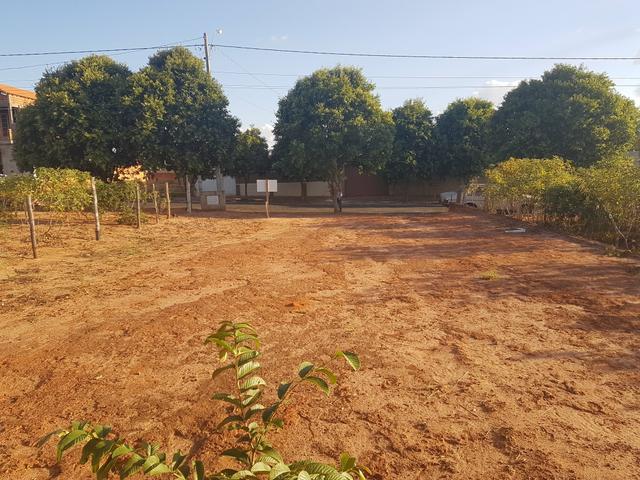 Terreno 10x20 Plano Já Quitado - Foto 4