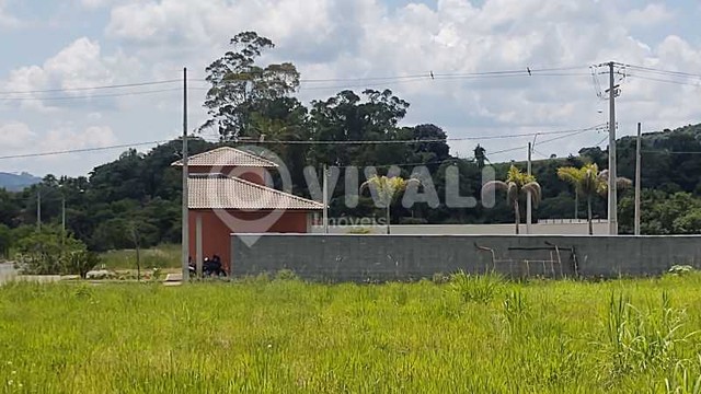 Terreno-À VENDA-Sítio da Serra-Tuiuti-SP - Foto 5