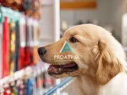 Pet Shop no Bairro Assunção em São Bernardo do Campo - Foto 4