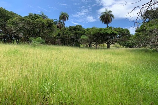 Fazenda de 122 ha, nascente de água cristalina (Temos varias opções). - Foto 4