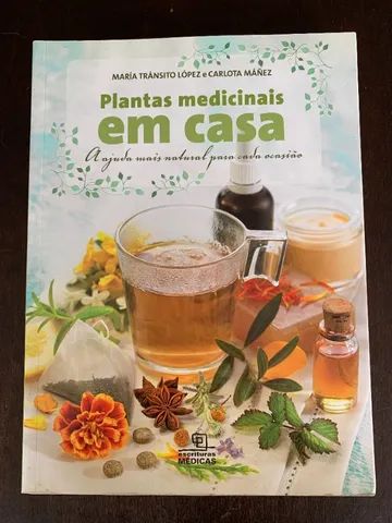 Plantas medicinais em casa