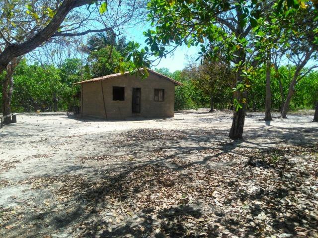 Sitio de 20 hectares, rico em água ótima casa sede e apenas 20 km de Teresina - Foto 17