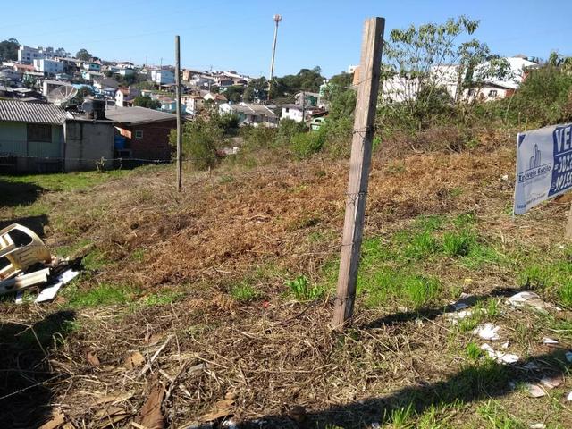 Terreno Jardim Iracema - Foto 2