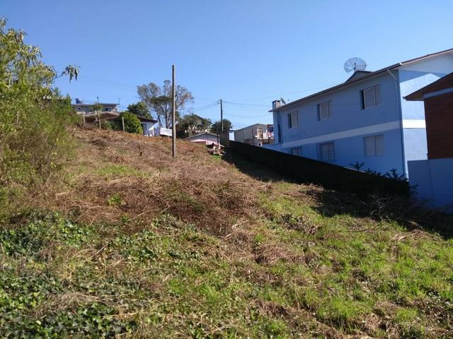 Terreno Jardim Iracema - Foto 5