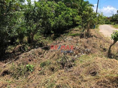 Terreno à venda, 1302 m² por r$ 140.000 - nossa senhora da vitória - ilhéus/ba - Foto 6