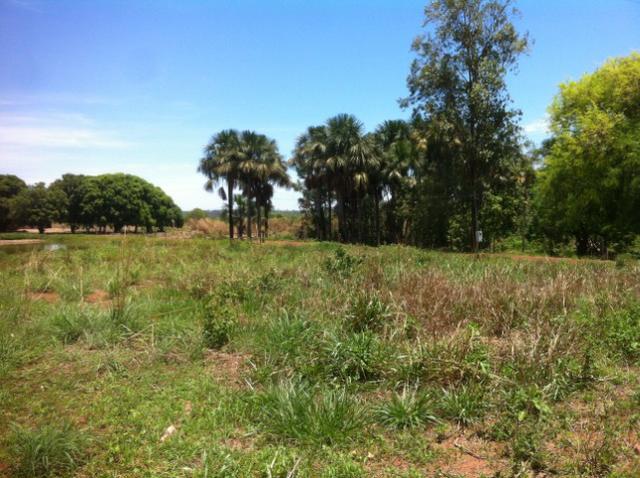 Fazenda 220hec chapada, agua fria MT 020 - Foto 12